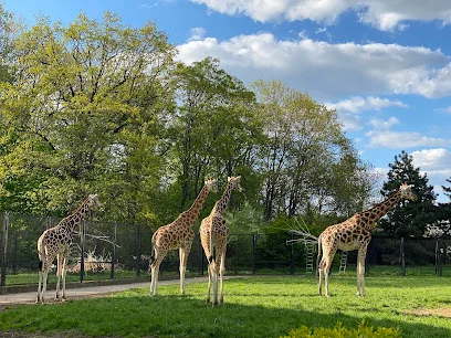 Miejski Ogród Zoologiczny w Warszawie